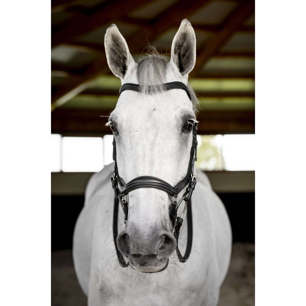 Horseware Micklem Deluxe Competition Bridle Schwarz