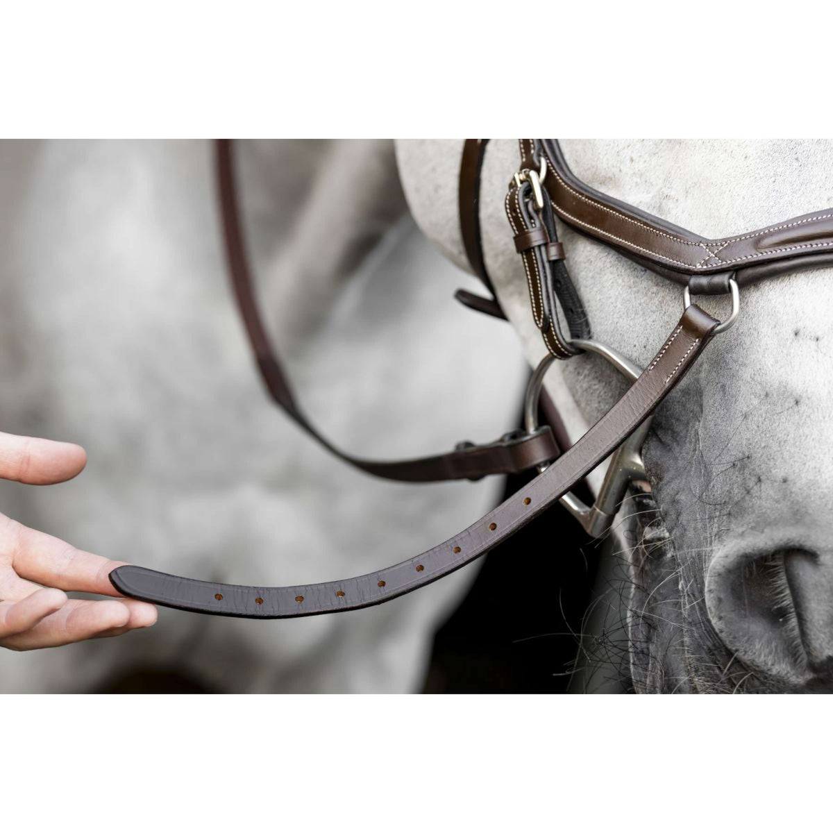 Horseware Micklem Deluxe Competition Bridle Dark Havana