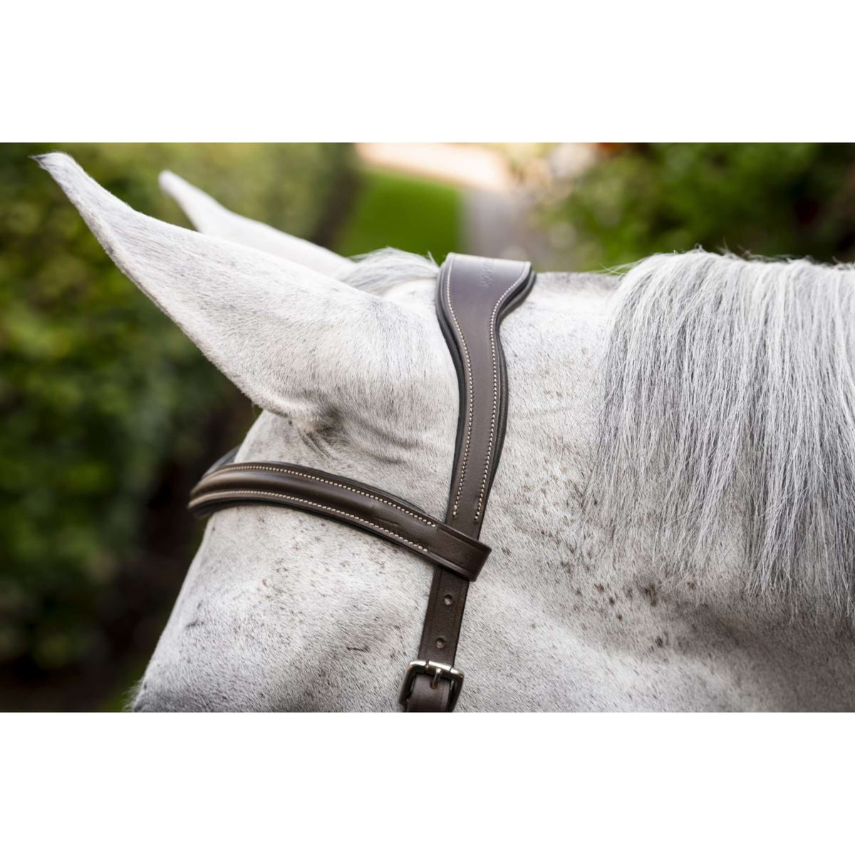 Horseware Micklem Deluxe Competition Bridle Dark Havana