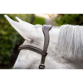 Horseware Micklem Deluxe Competition Bridle Dark Havana