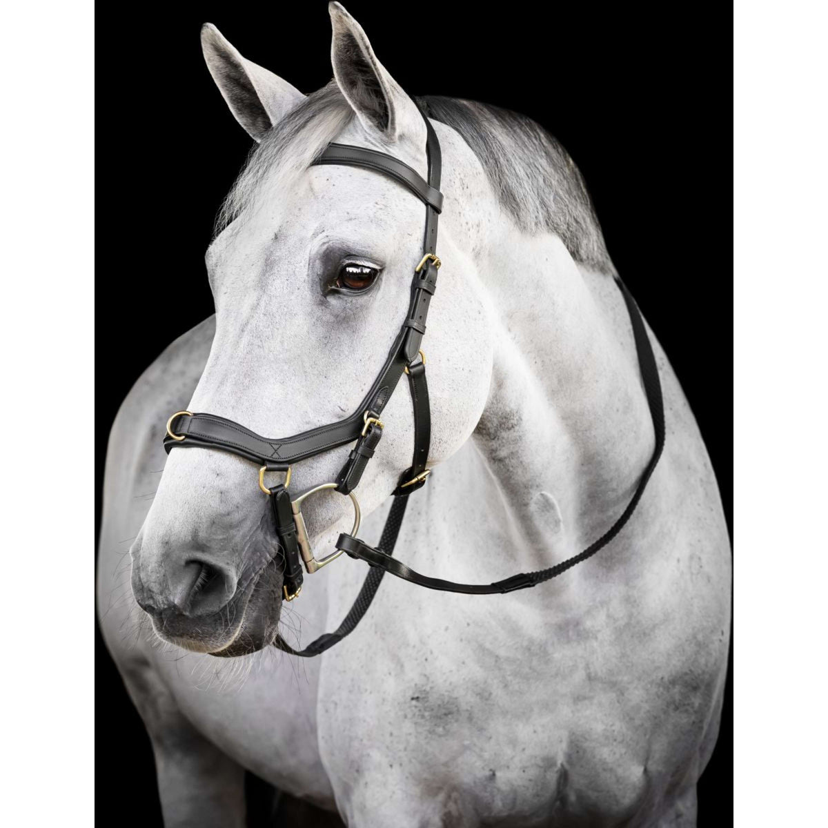 Horseware Micklem Multi Bridle Schwarz