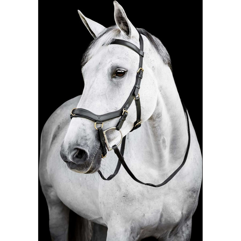Horseware Micklem Multi Bridle Schwarz