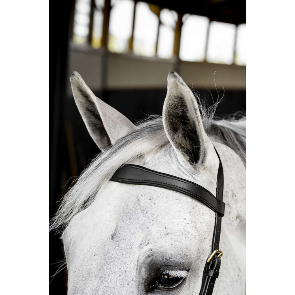 Horseware Micklem Multi Bridle Schwarz