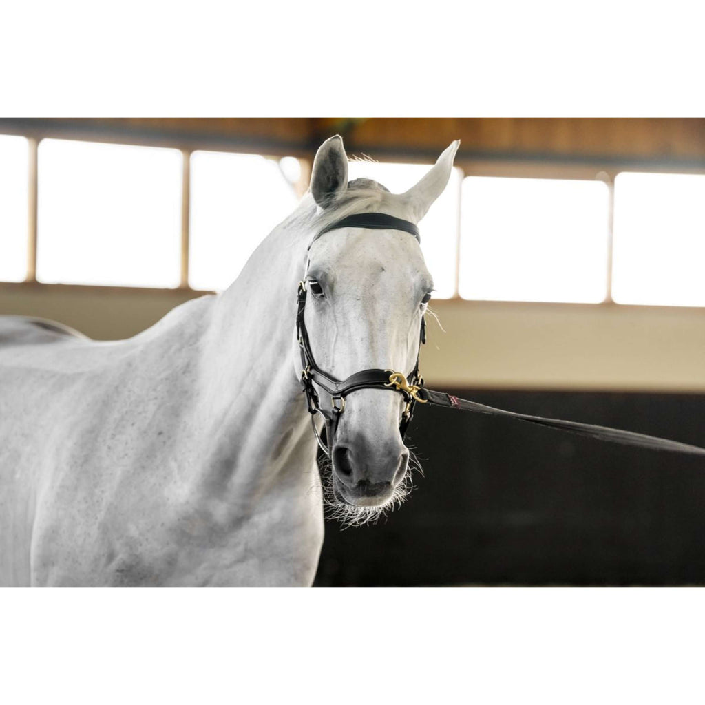 Horseware Micklem Multi Bridle Schwarz