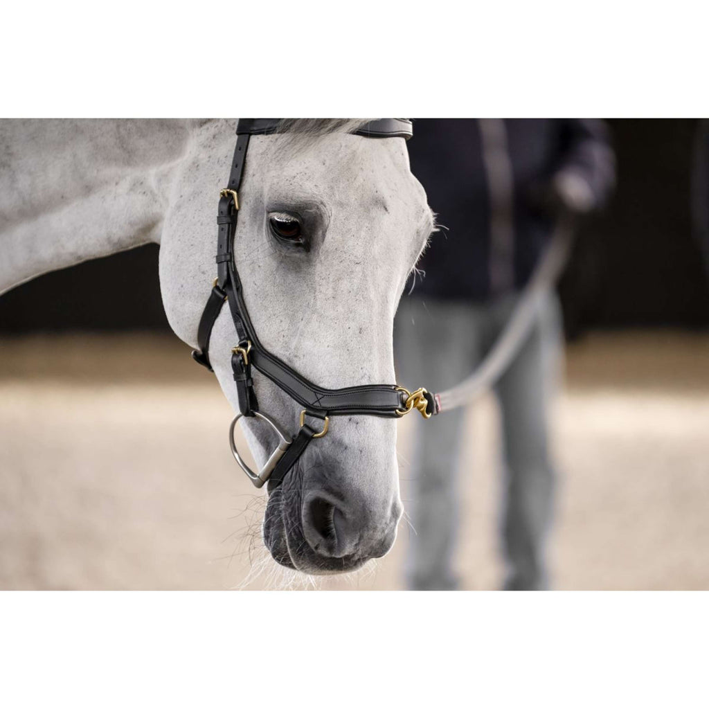 Horseware Micklem Multi Bridle Schwarz