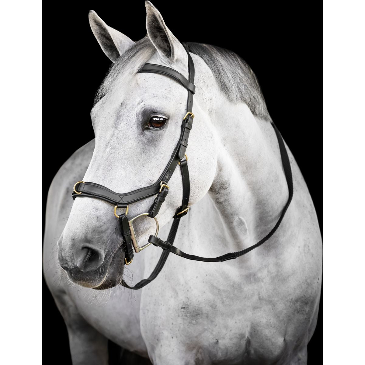 Horseware Micklem Multi Bridle Schwarz