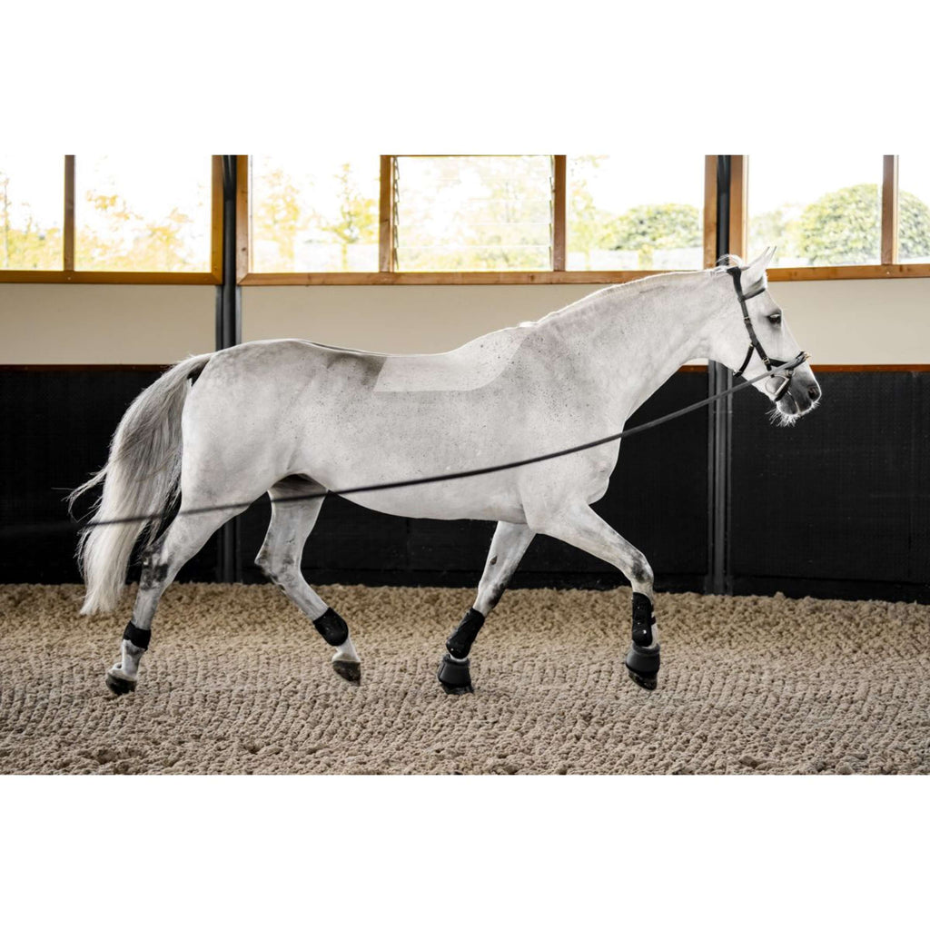 Horseware Micklem Multi Bridle Schwarz