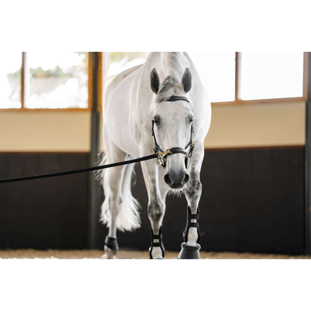 Horseware Micklem Multi Bridle Schwarz