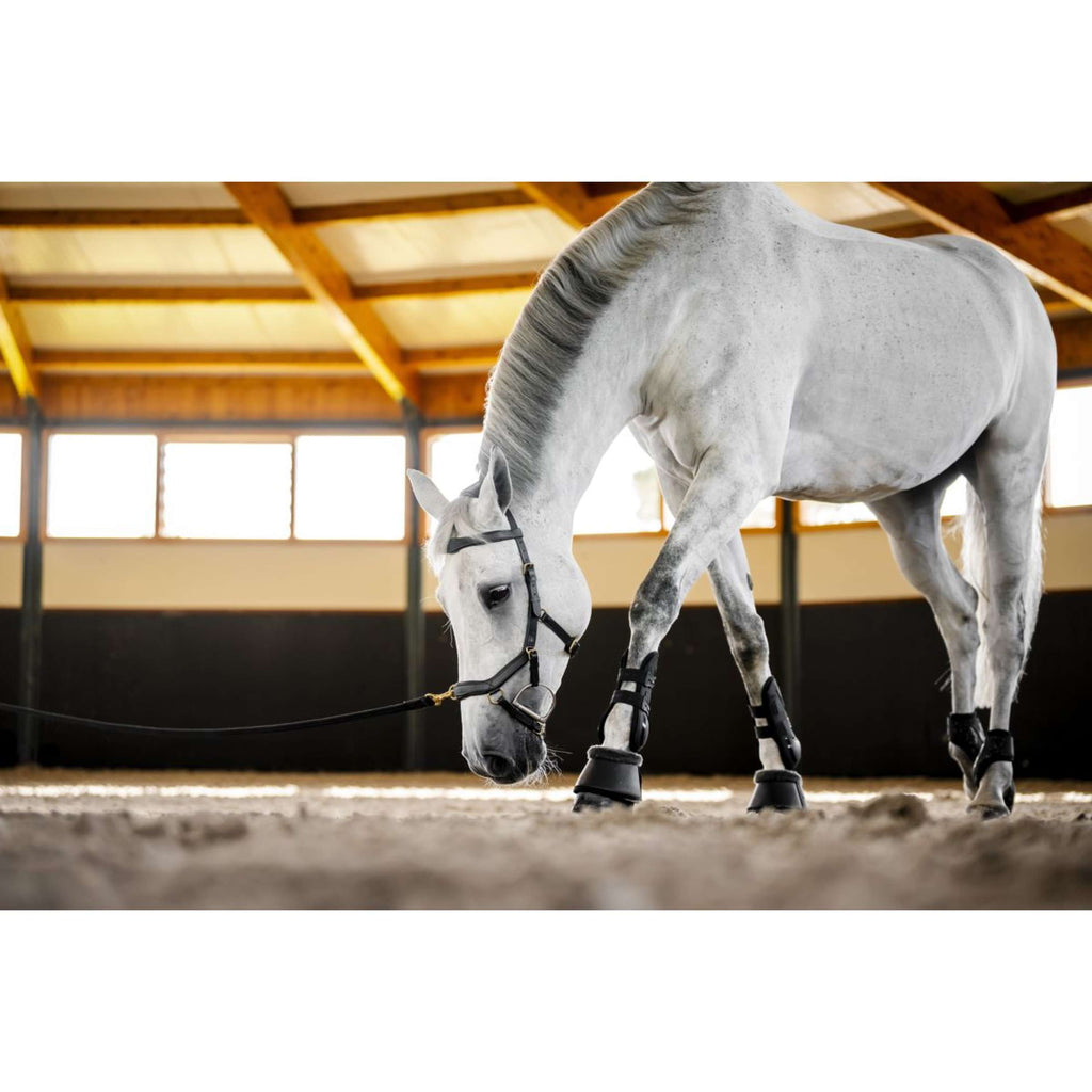 Horseware Micklem Multi Bridle Schwarz