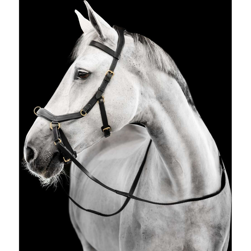 Horseware Micklem Multi Bridle Schwarz