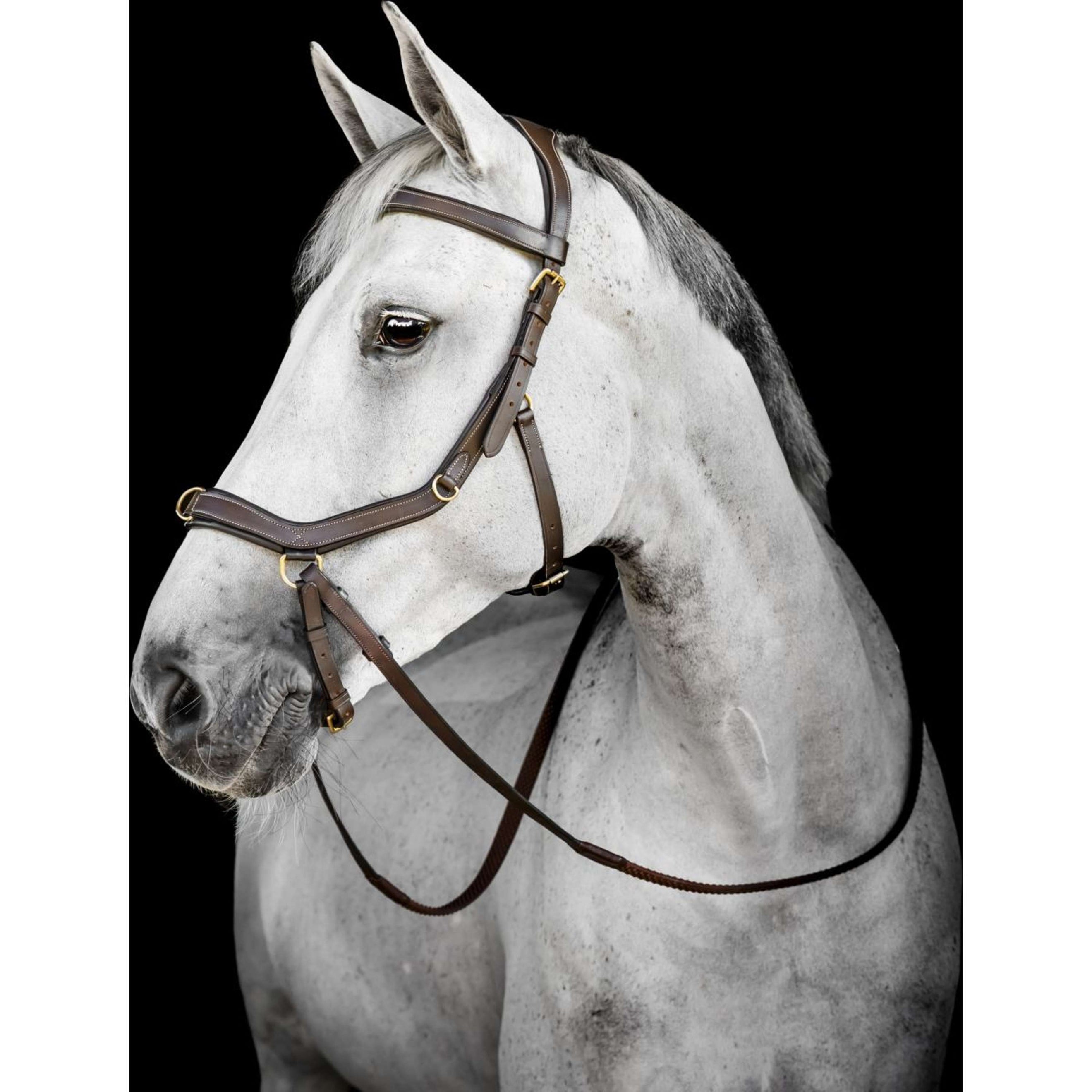 Horseware Micklem Multi Bridle Dark Havana Horseware Micklem Multi Bridle Dark Havana