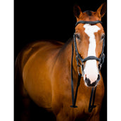 Rambo Micklem 2 Deluxe Competition Bridle Schwarz