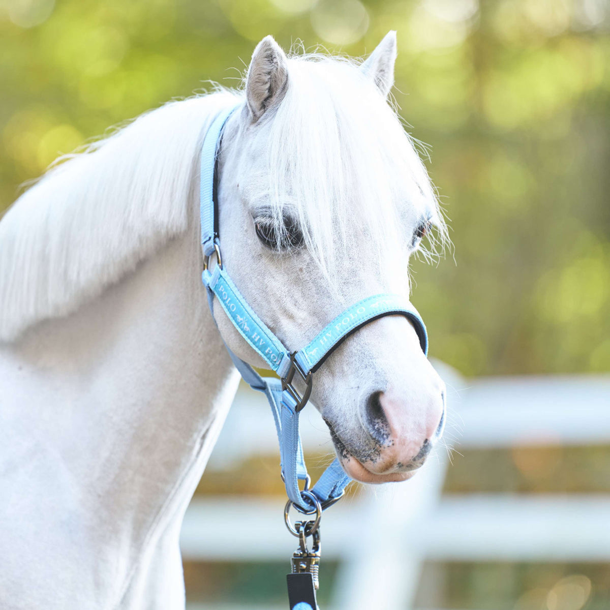 HV Polo Halfter HVPNena Powder Blue