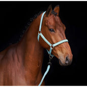 HV Polo Halfter HVPNena Aqua Sky