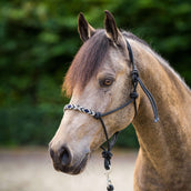 HV Polo Knotenhalfter HVPLamu Schwarz