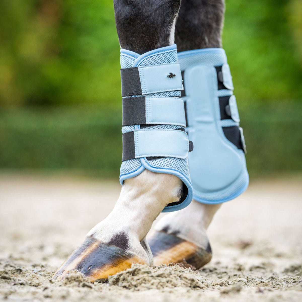 HV Polo Dressage Boots HVPAir Flow Powder Blue