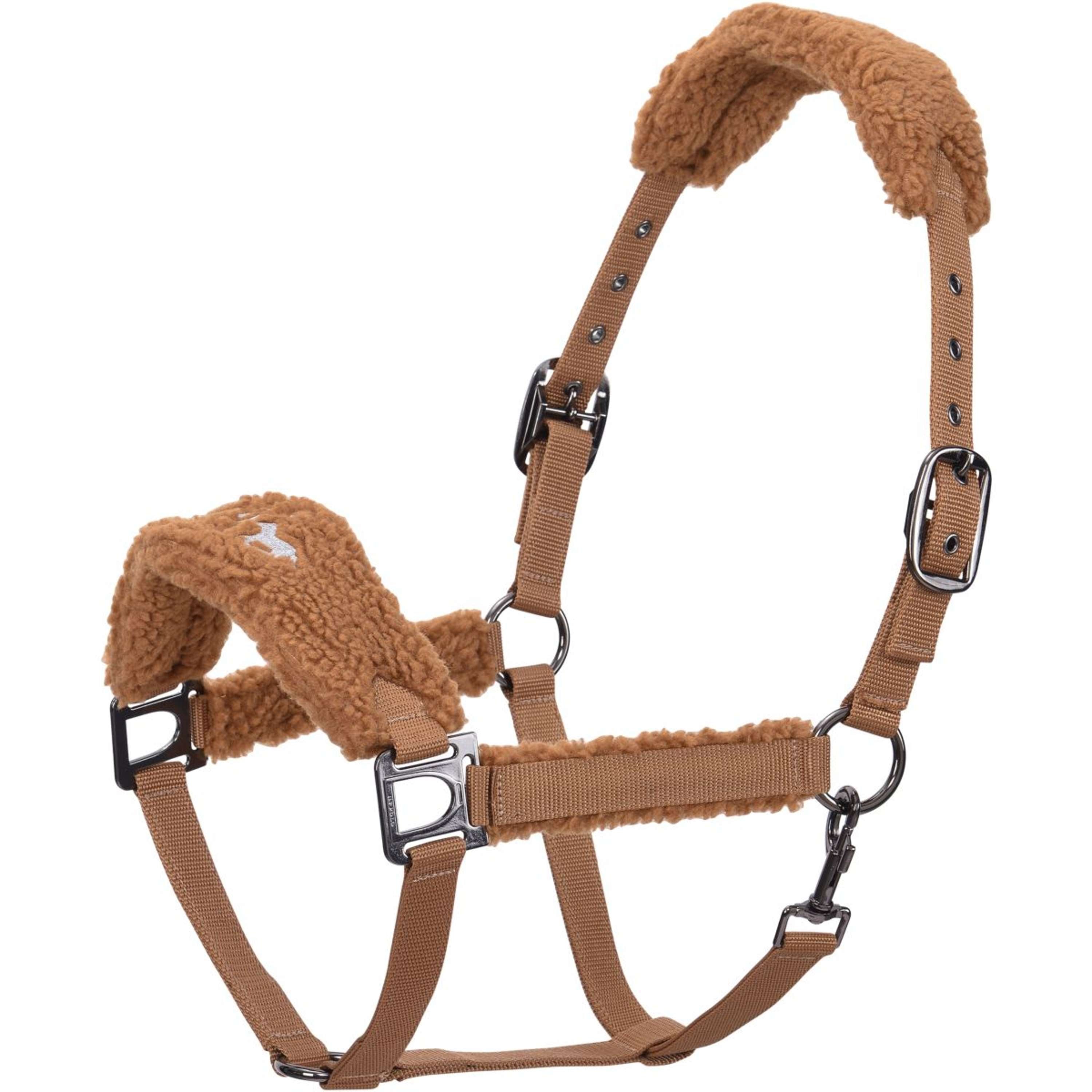 HV Polo Halfter HVPTeddy Camel
