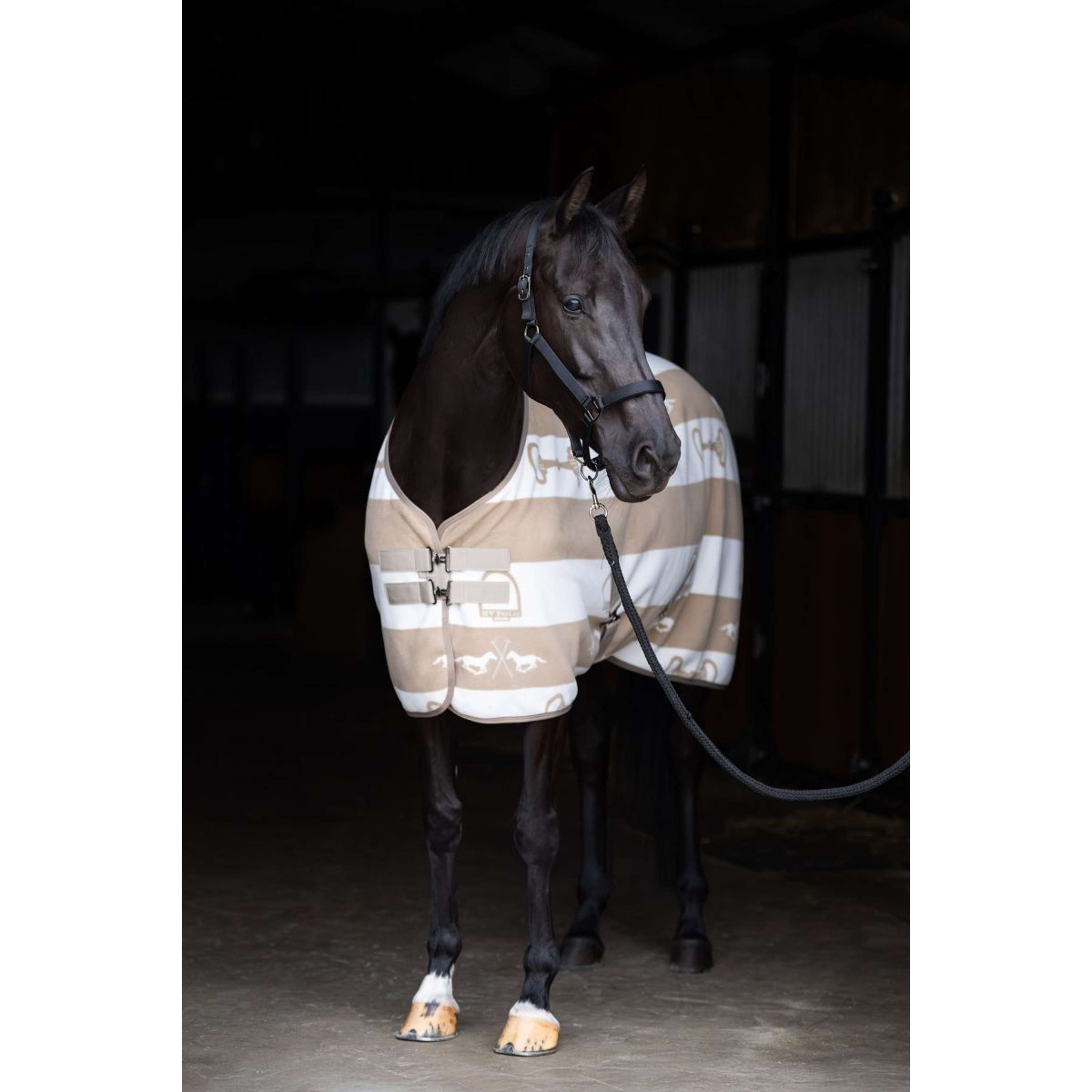 HV Polo Fleecedecke HVPGwenny Chalk