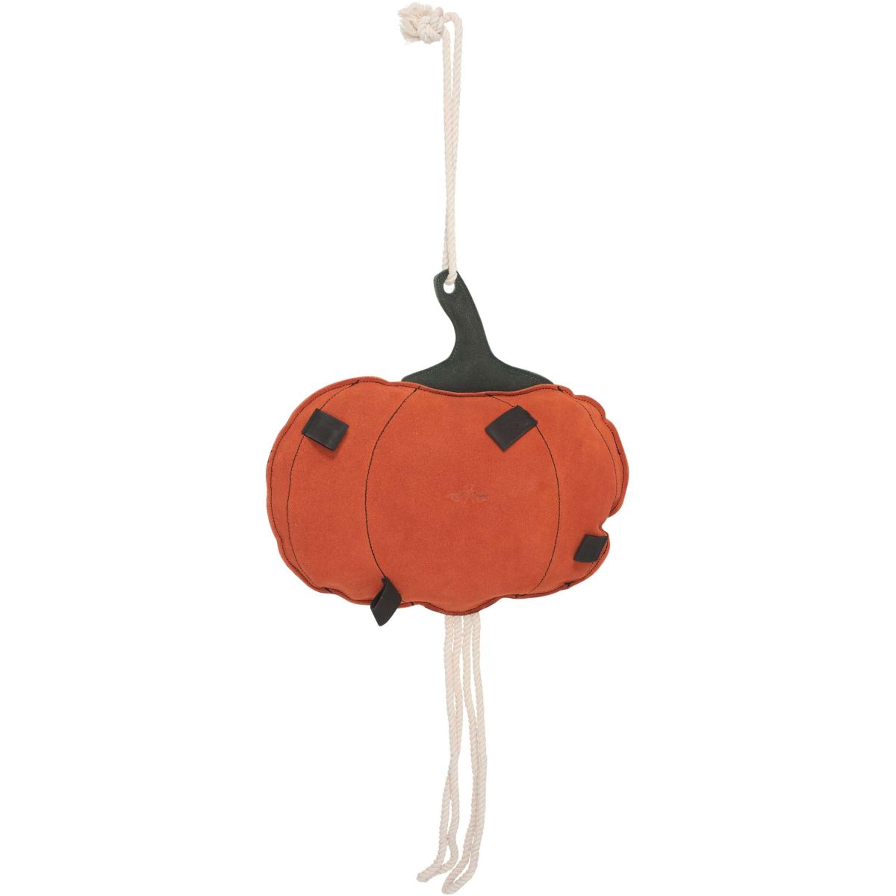 HV Polo Stable Buddy HVPPumpkin Kürbis