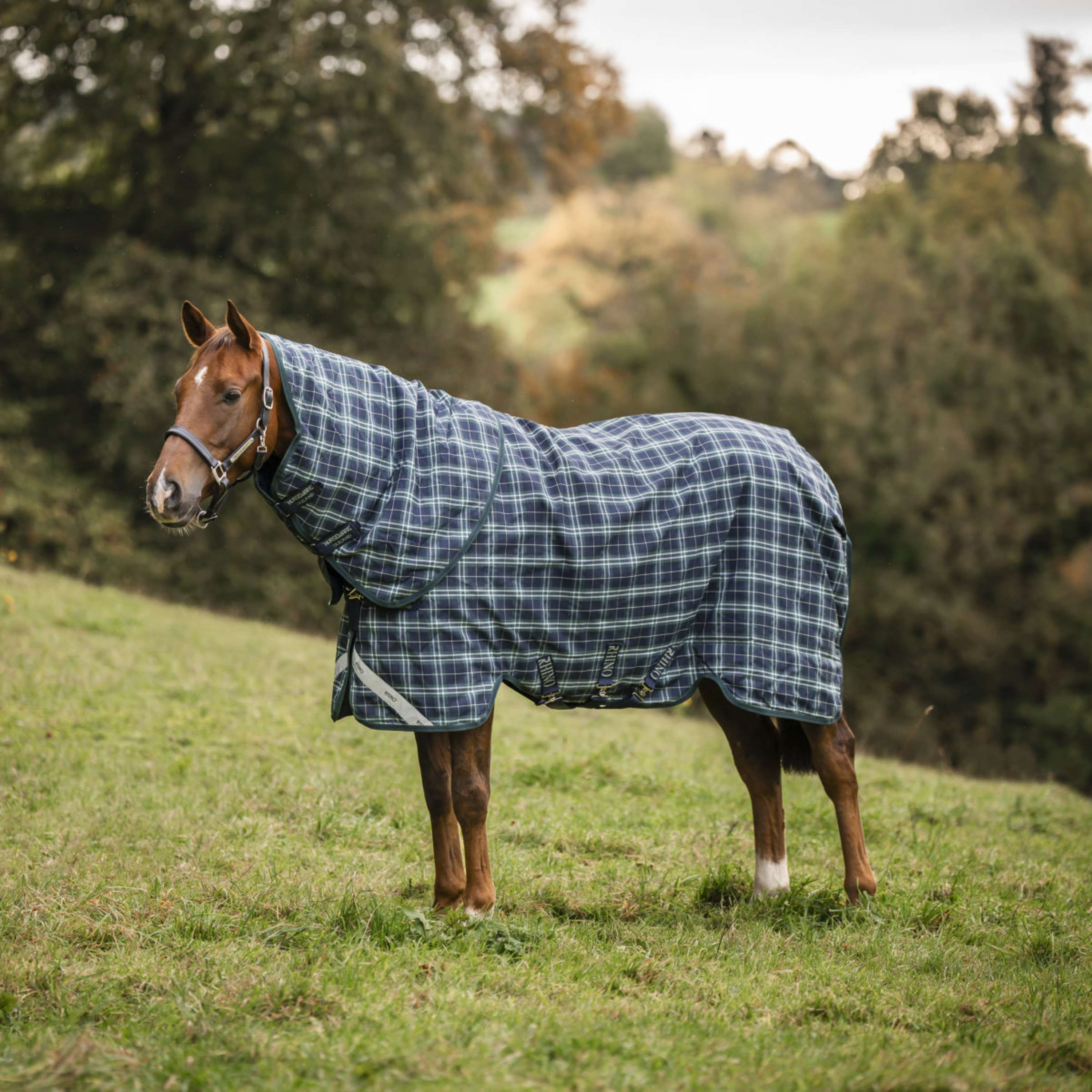 Rhino Halsstück Turnout 150g Hunter Check/Green/Navy