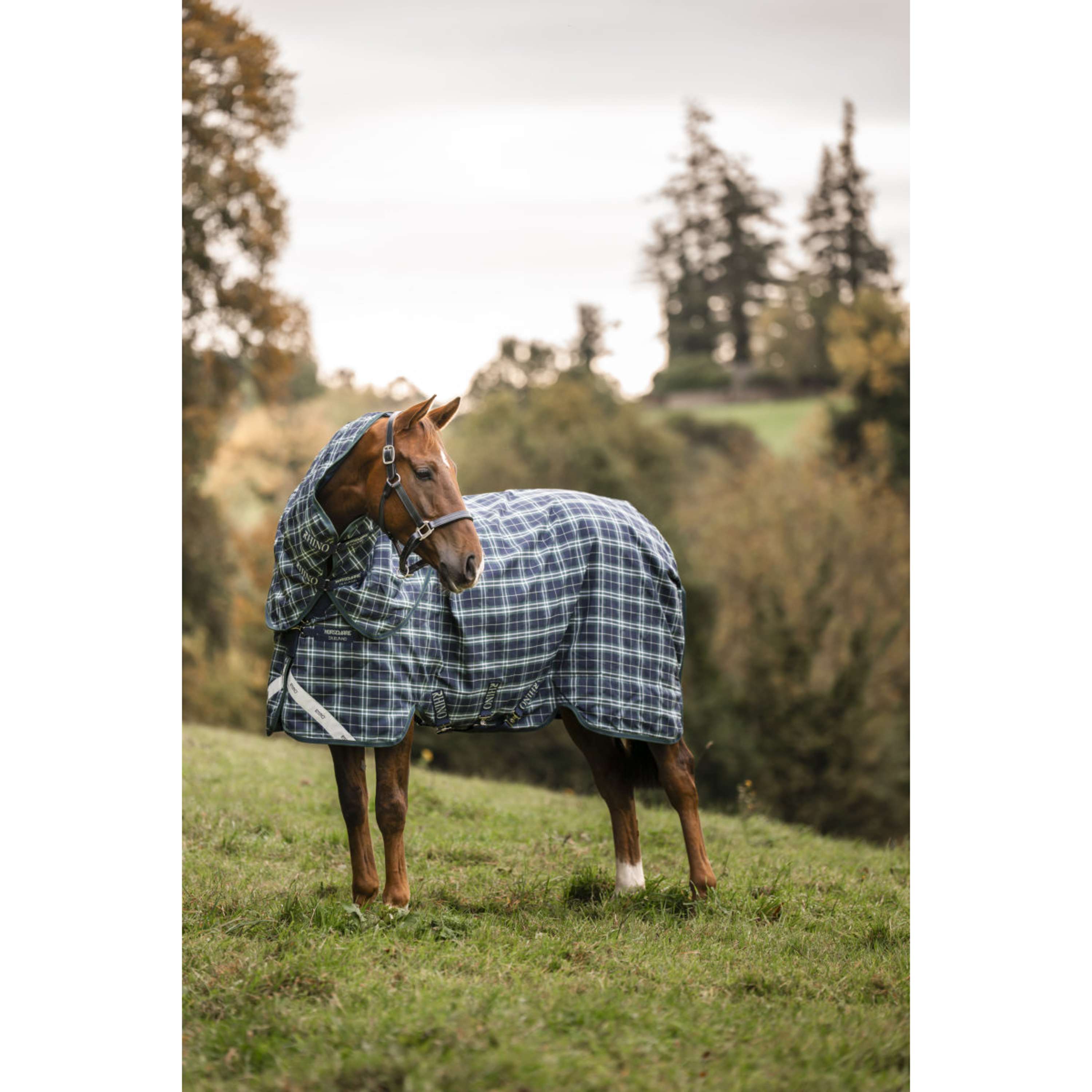 Rhino Halsstück Turnout 150g Hunter Check/Green/Navy