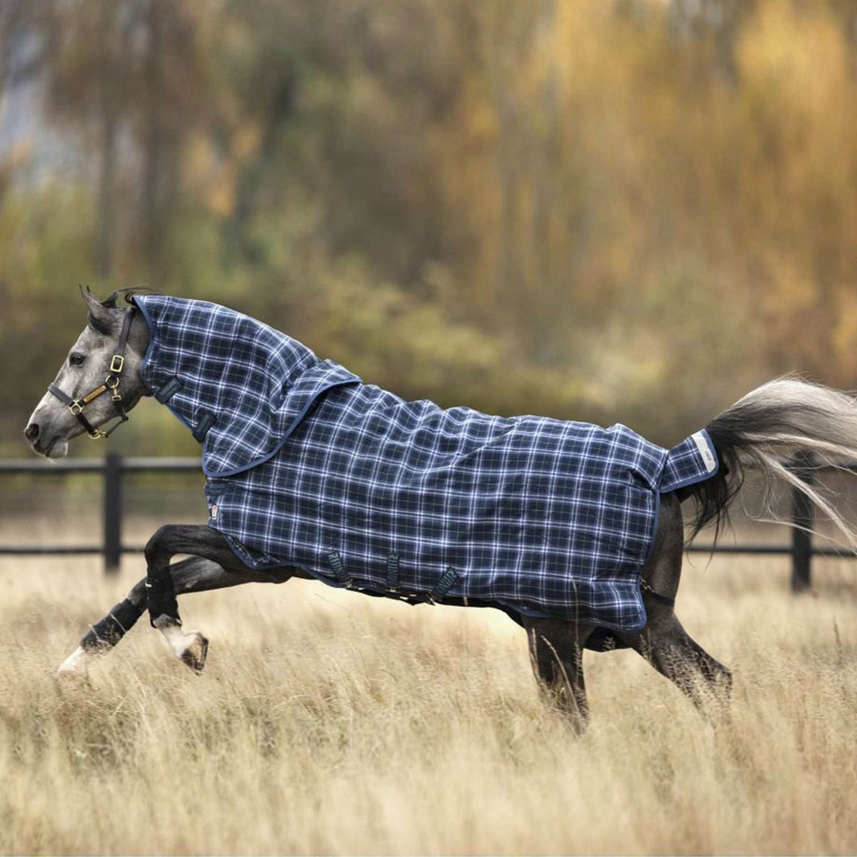 Rhino by Horseware Plus Turnout Heavy Varilayer Navy Check/Indigo