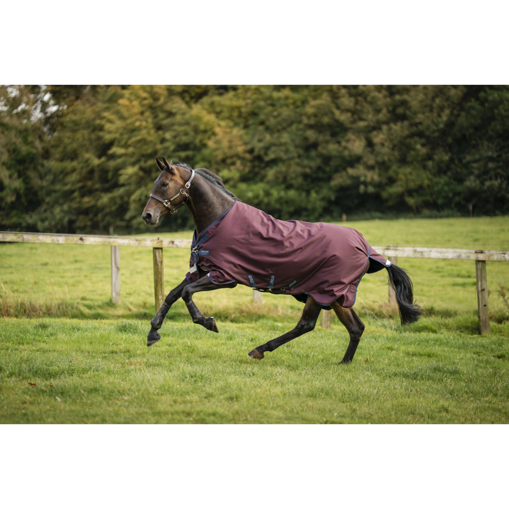 Amigo Turnout 1200D 100g Burgundy/Navy/Titanium Grey