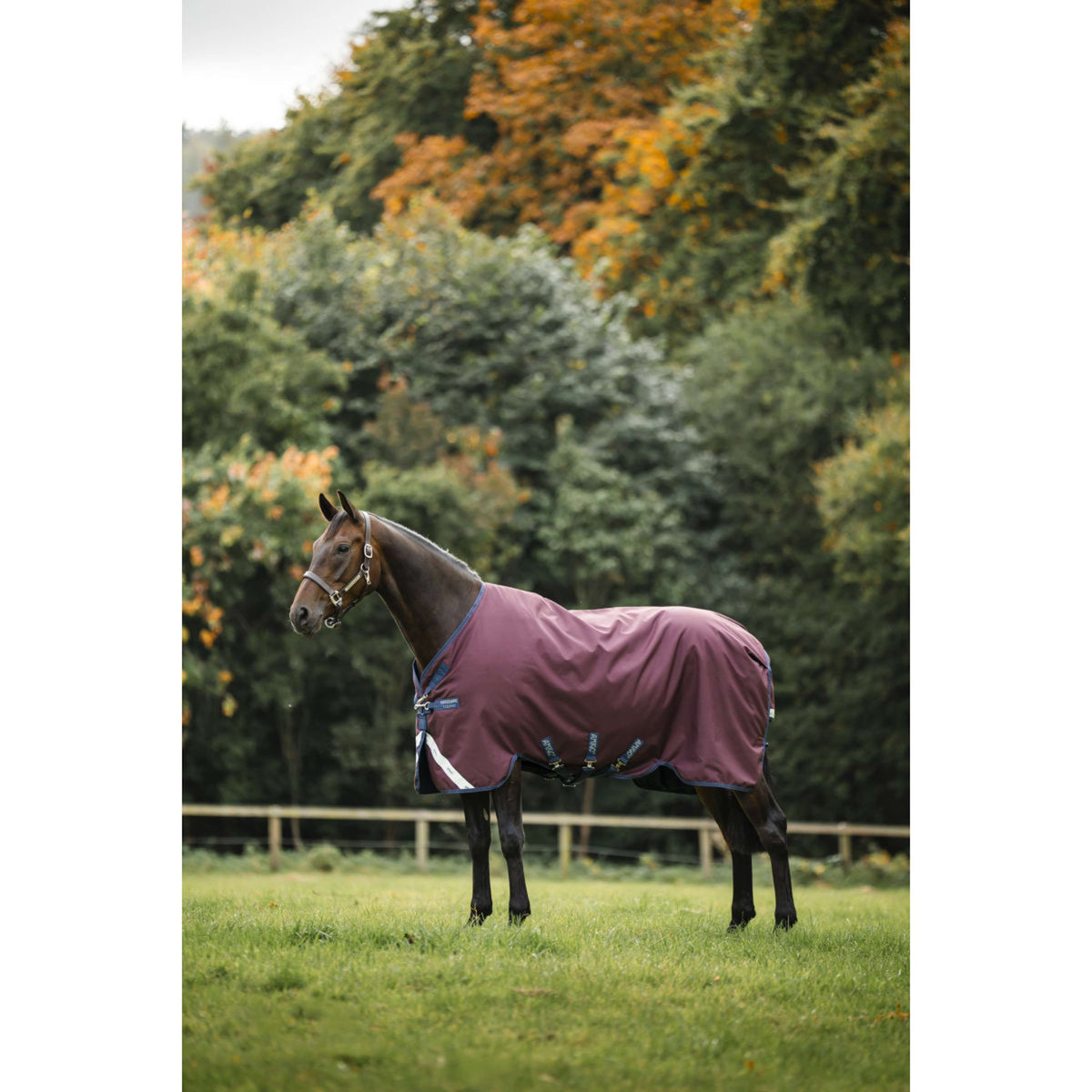 Amigo Turnout 1200D 250g Burgundy/Navy/Titanium Grey