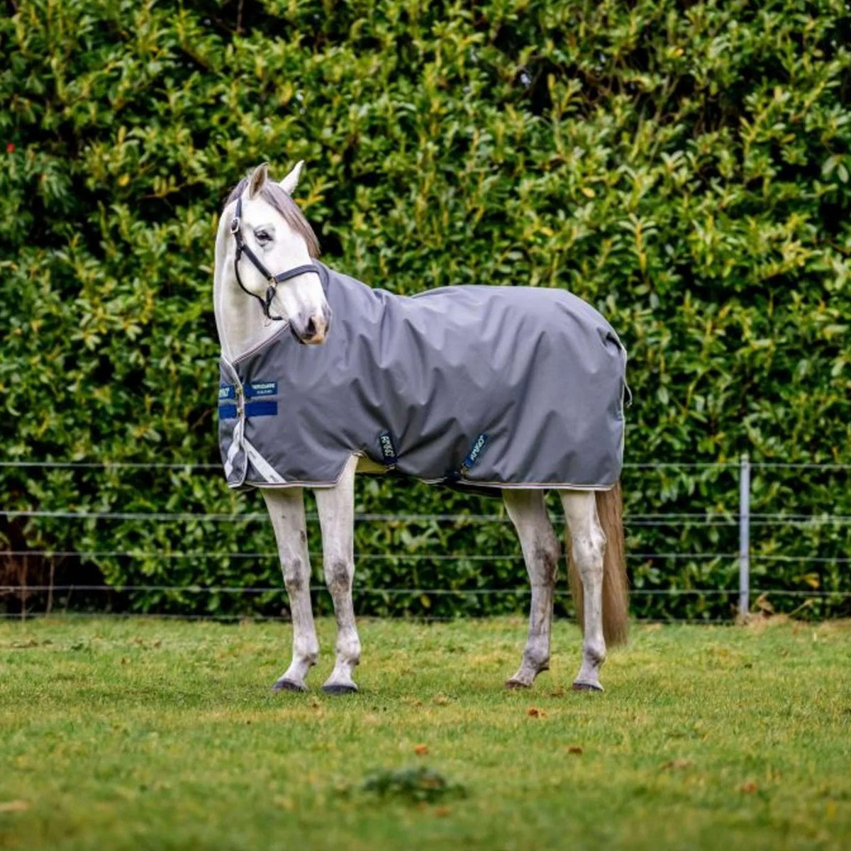 Amigo Turnout Bravo 100g Shadow/Navy/Lime