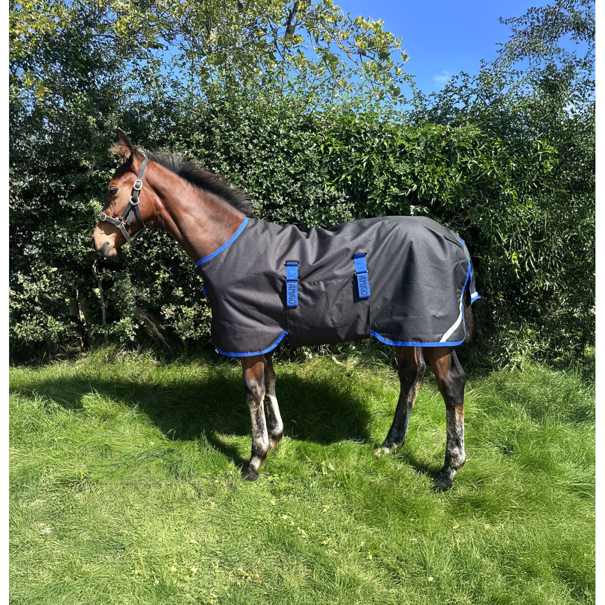 Amigo Fohlendecke Ripstop 900D 200g Black/Classic Blue