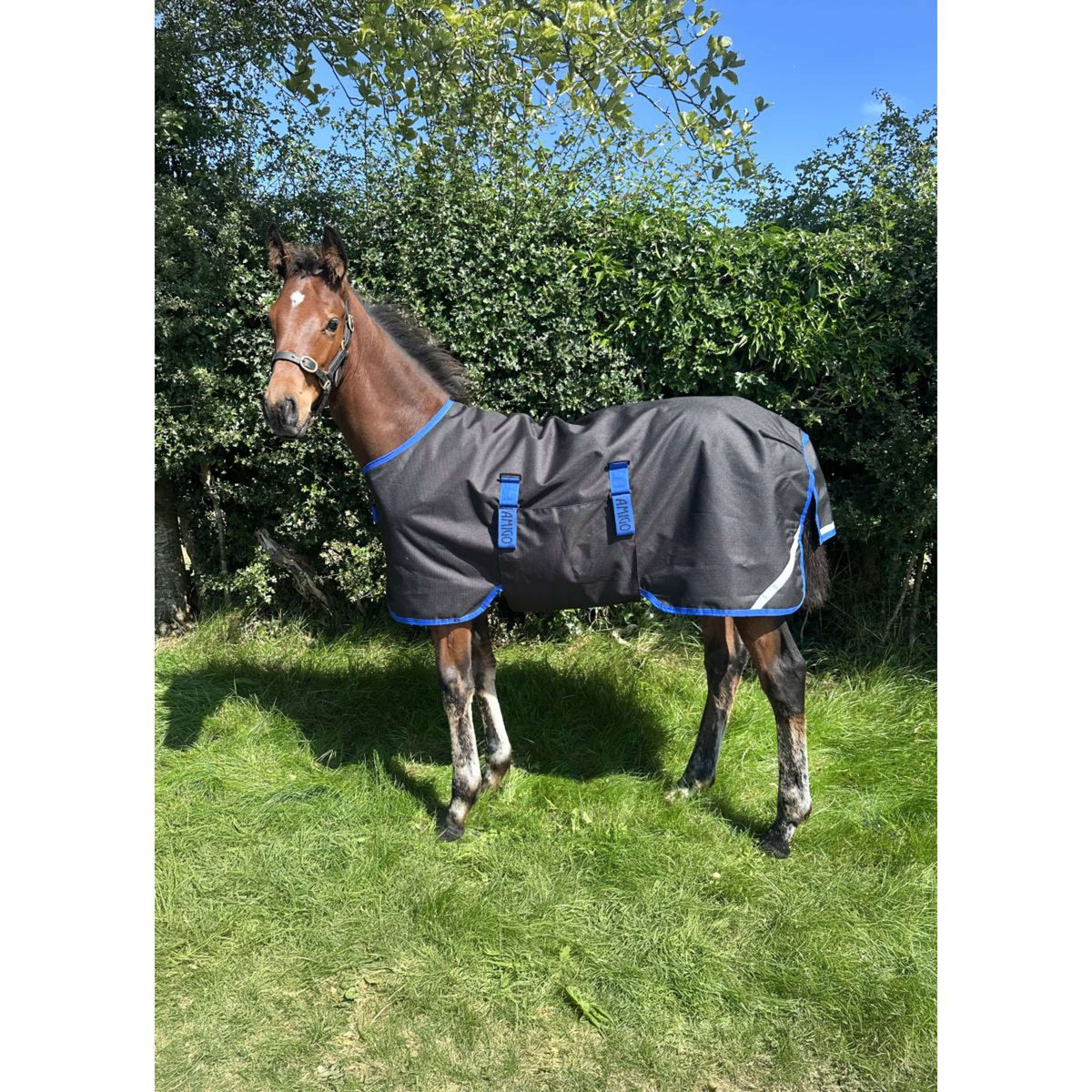 Amigo Fohlendecke Ripstop 900D 200g Black/Classic Blue