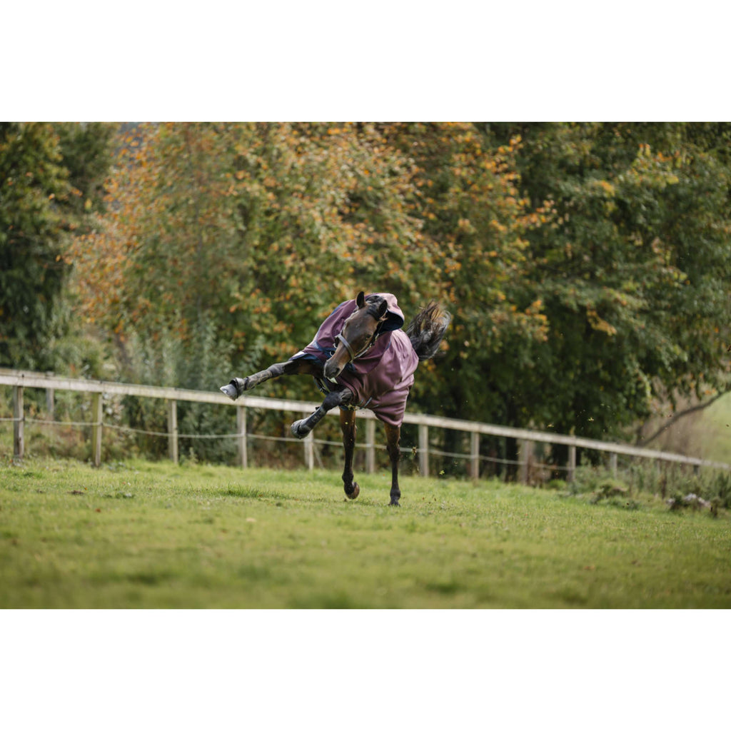 Amigo Turnout Plus 1200D 100g Burgundy/Navy/Titanium Grey
