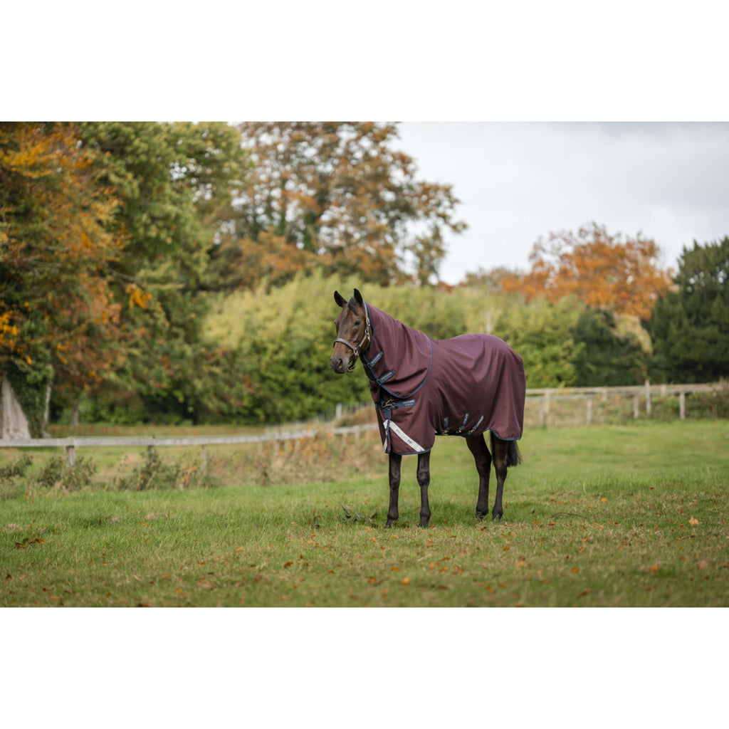 Amigo Turnout Plus 1200D 100g Burgundy/Navy/Titanium Grey