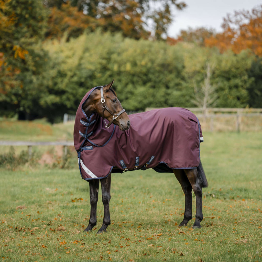Amigo Turnout Plus 1200D 100g Burgundy/Navy/Titanium Grey