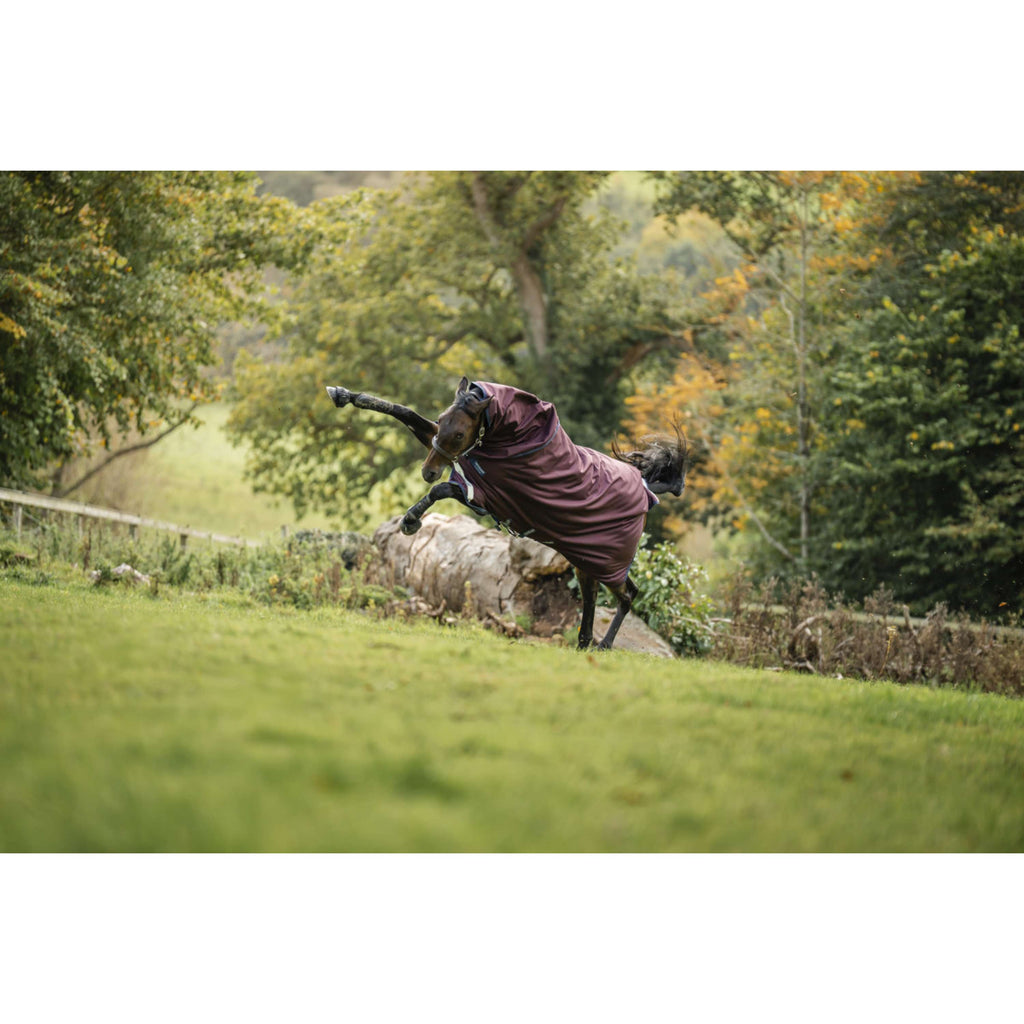 Amigo Turnout Plus 1200D 100g Burgundy/Navy/Titanium Grey