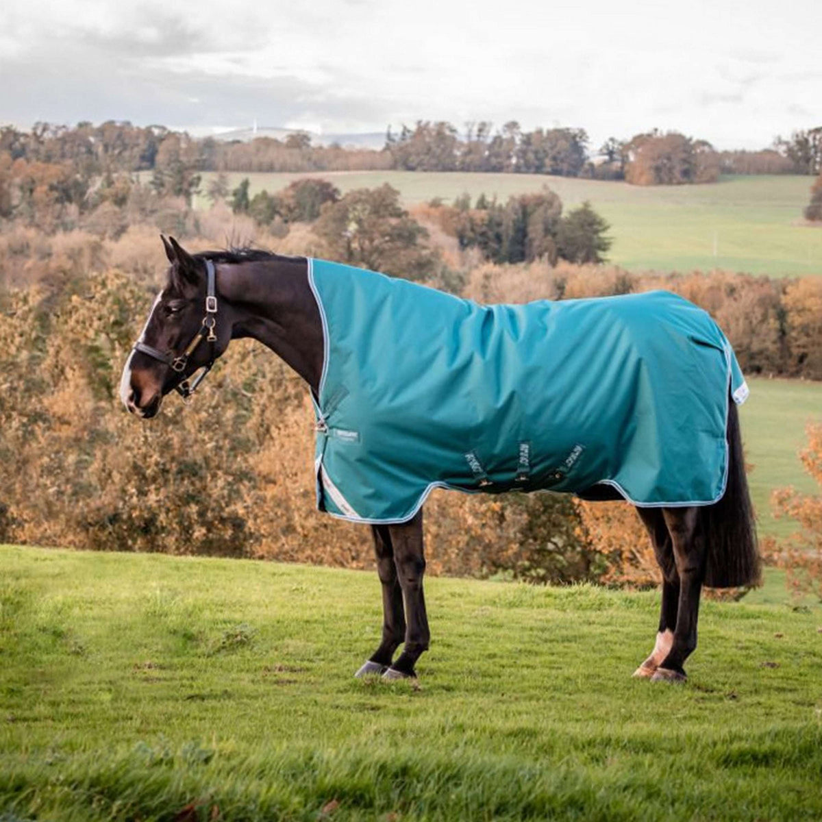 Amigo by Horseware Bravo 12 Wug Lite Storm Green