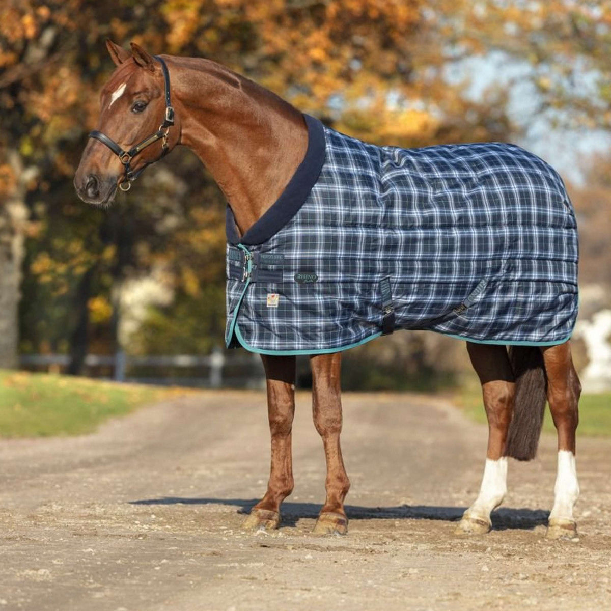 Rhino by Horseware Original Stable Heavy Varilayer Navy Check