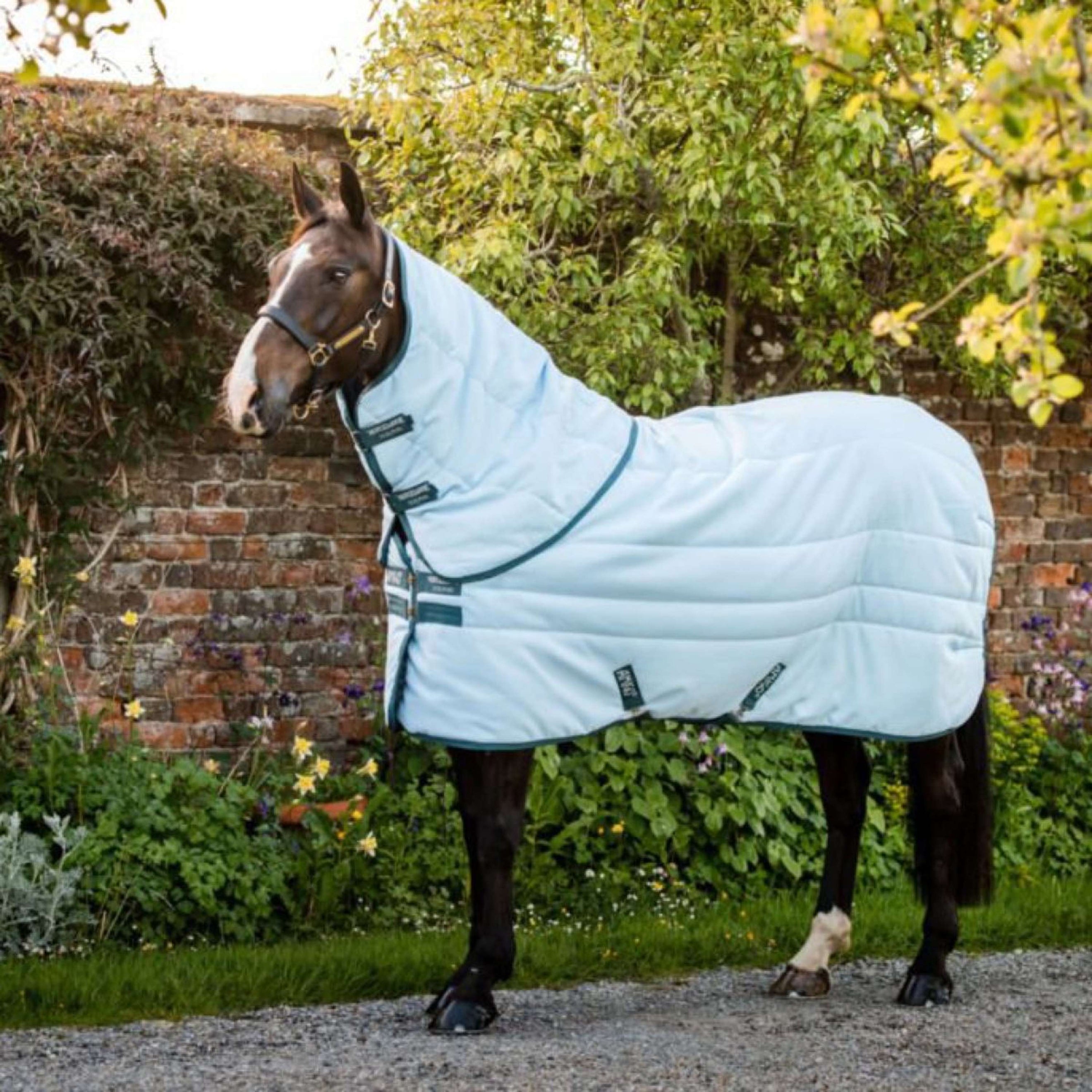 Amigo Stable Plus Plant Dye Blau/Navy Amigo Stable Plus Plant Dye Blau/Navy