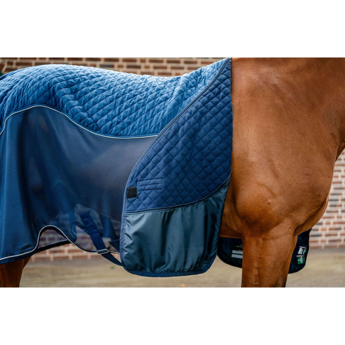 Horseware Travel Cooler Signature Navy