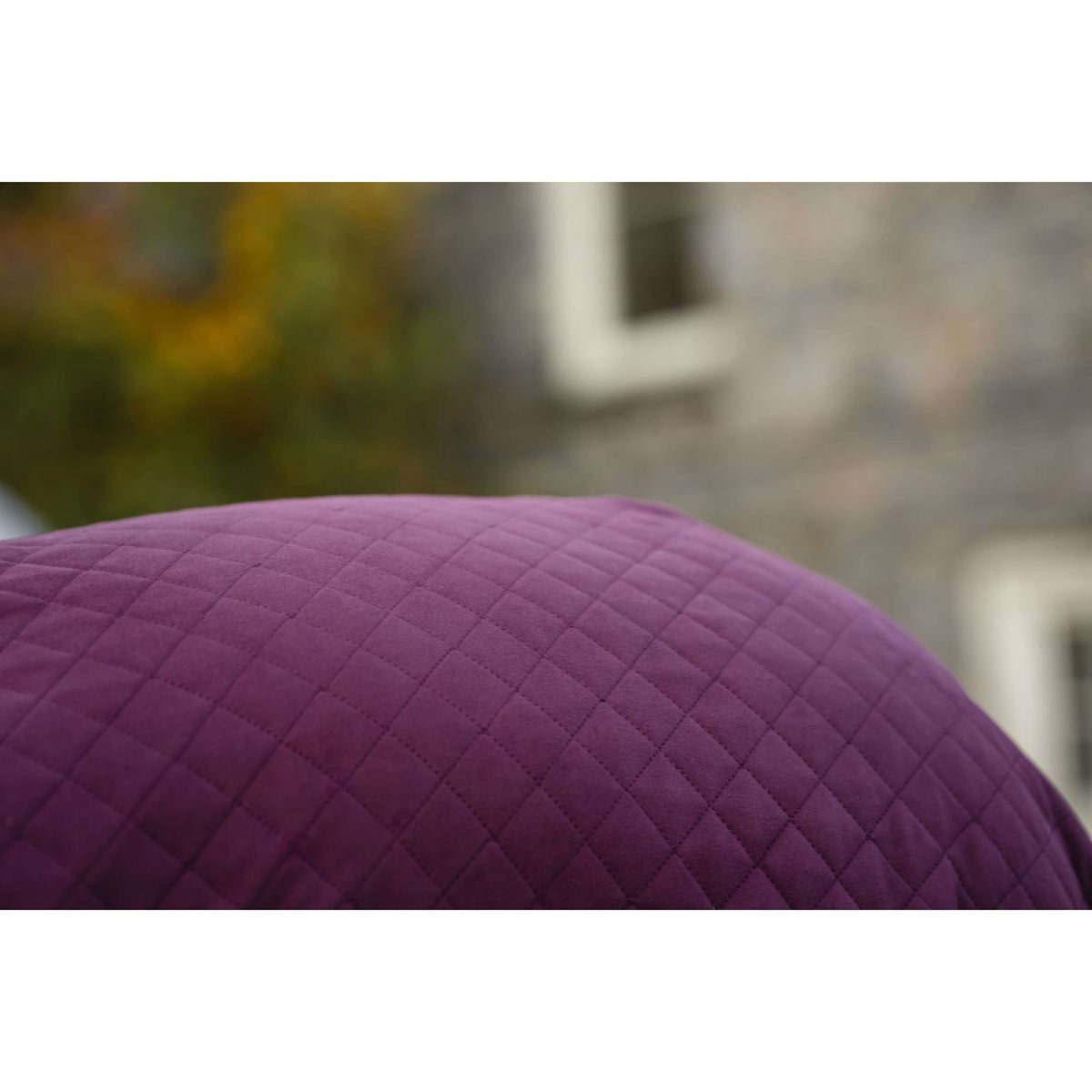 Horseware Travel Cooler Signature Burgunderrot