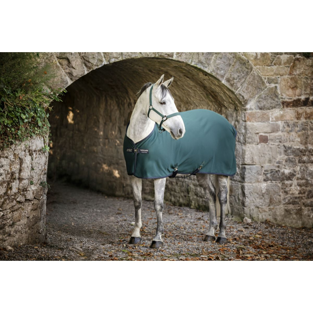 Amigo Jersey Cooler Pony Dynasty Green/Navy/Silver