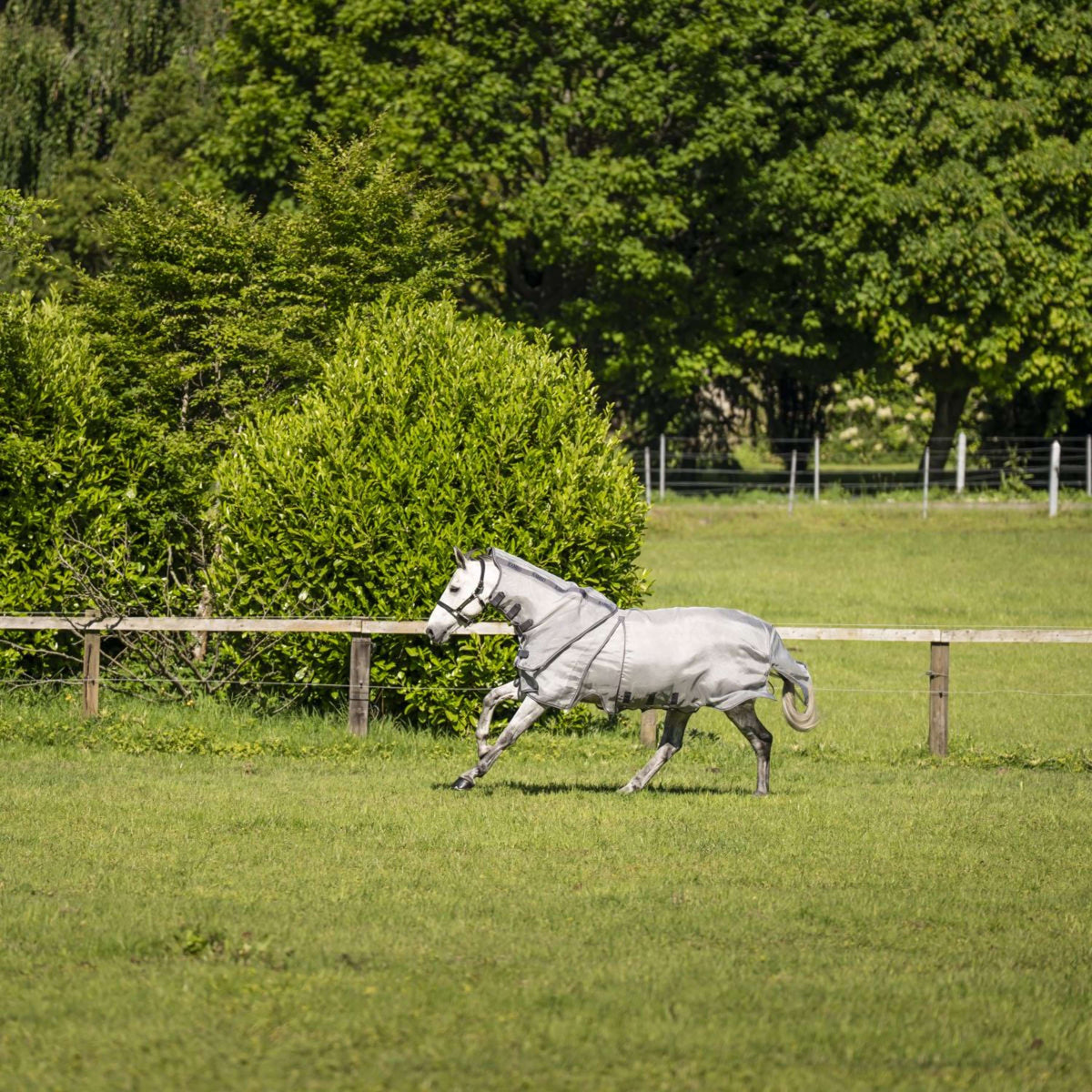 Rambo Optimo Protector Plus Silver/Thunderstorm Grey/Silver