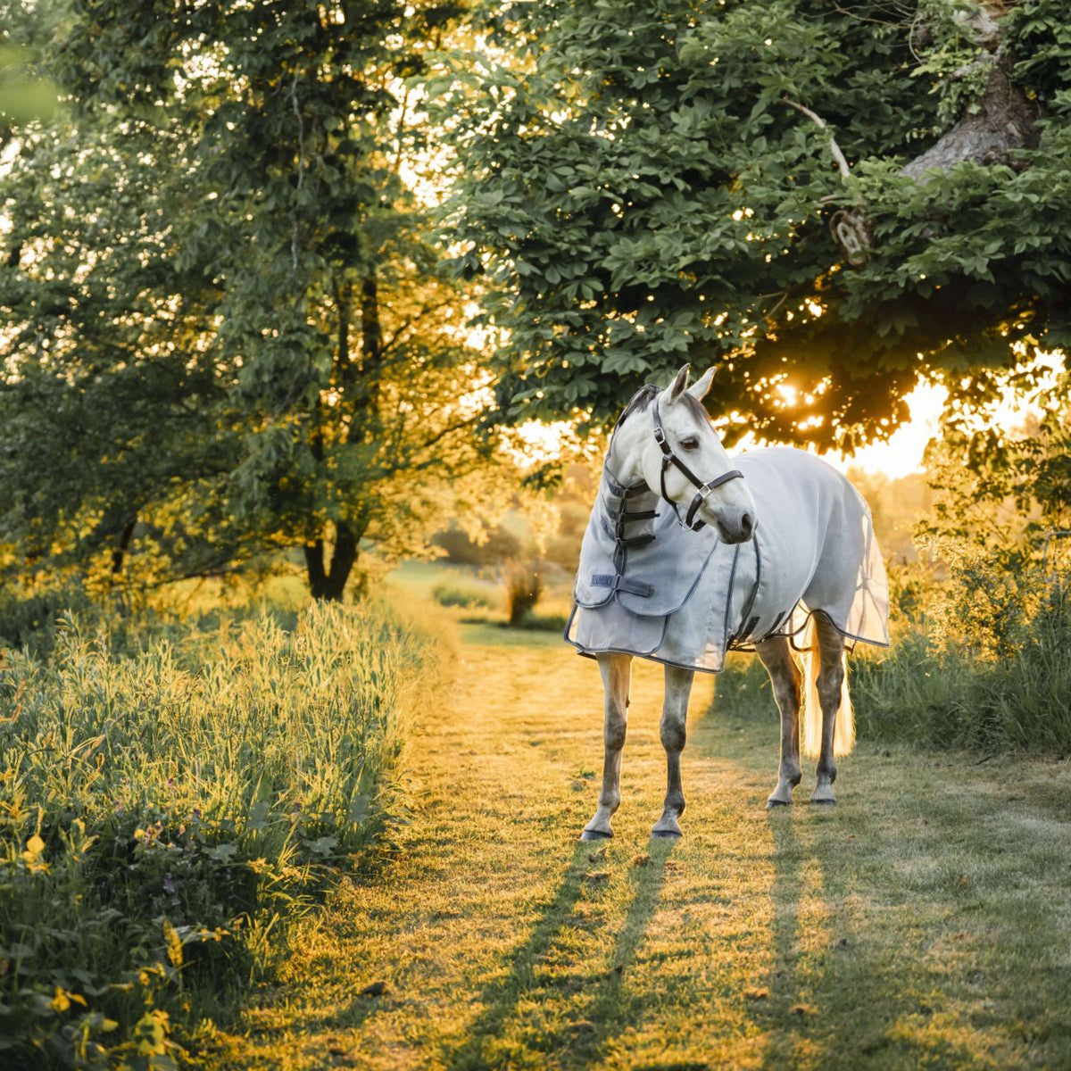 Rambo Optimo Protector Plus Silver/Thunderstorm Grey/Silver