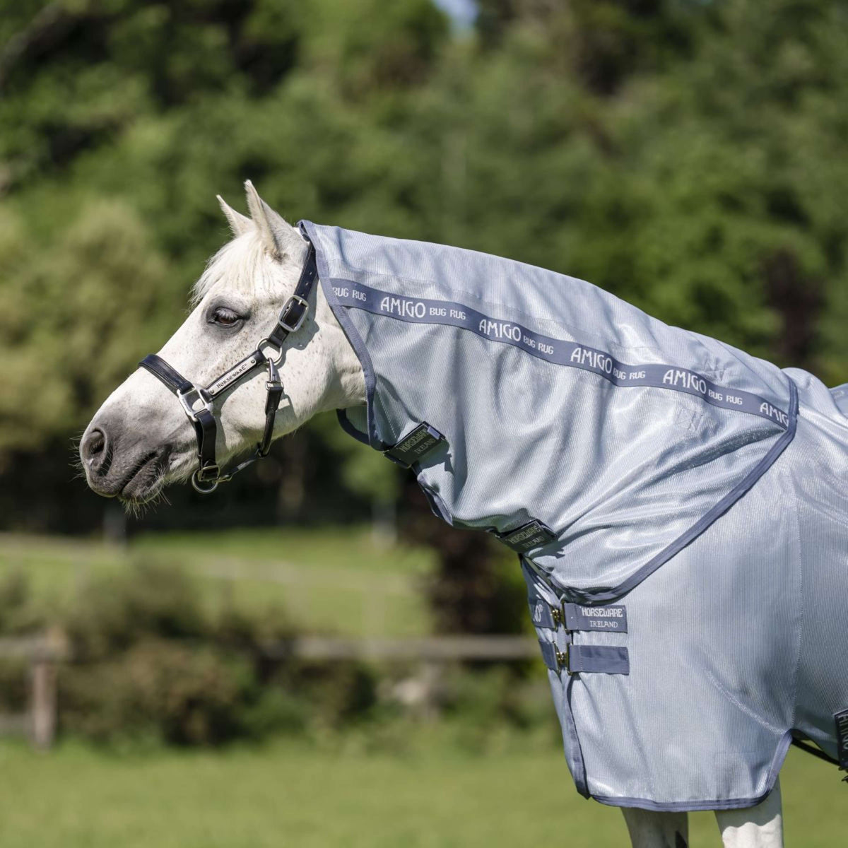 Amigo Bug Rug Plus Pony Heather Blue/Blue/Silver