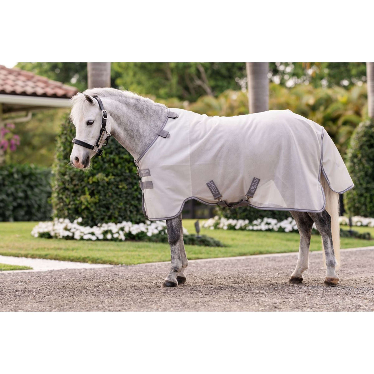 Amigo Bug Rug Plus Pony Silber/Titangrau/Silber