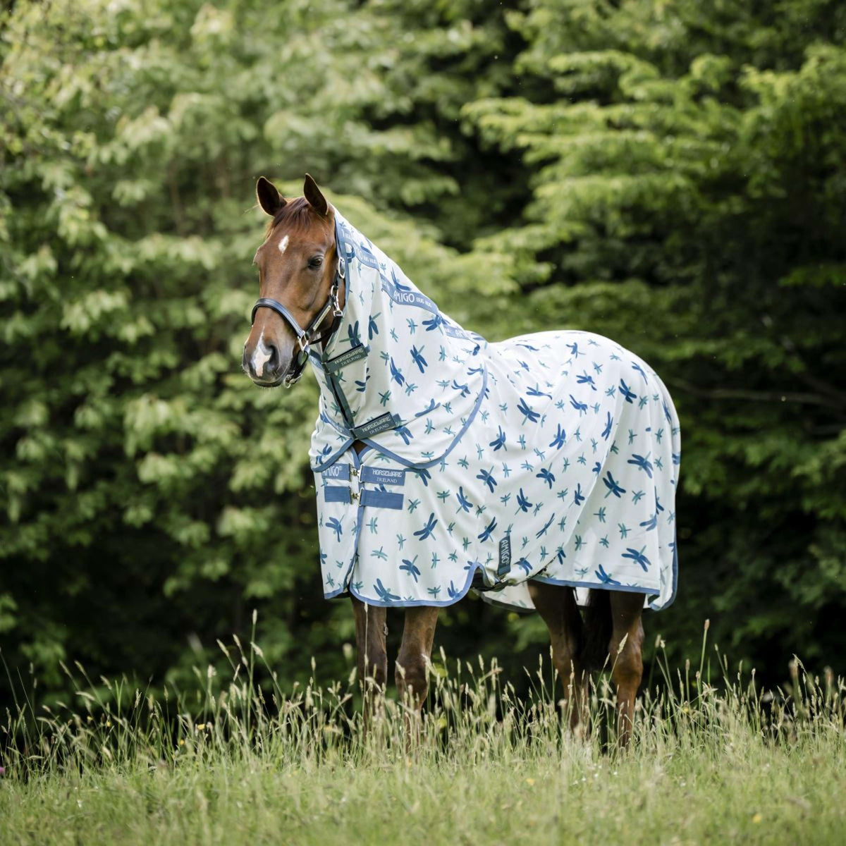 Amigo Bug Rug Plus Dragonfly Print/Silver/Blue/Sage