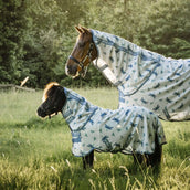 Amigo Bug Rug Plus Petite Dragonfly Print/Silver/Blue/Sage