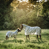 Amigo Bug Rug Plus Dragonfly Print/Silver/Blue/Sage