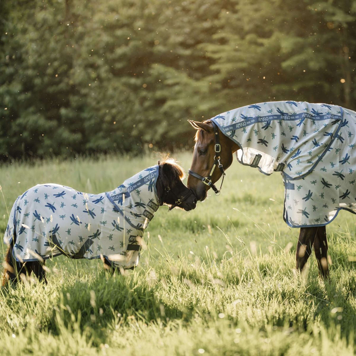 Amigo Bug Rug Plus Petite Dragonfly Print/Silver/Blue/Sage
