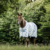 Amigo Bug Rug Dragonfly Print/Silver/Blue/Sage